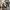 Vintage Streetwear Glass Pria white gray photo 2