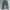 Streetwear Jeans Pria navy blue photo 4