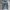 Streetwear Y2K Jeans Pria navy photo 4