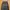 Streetwear Gorpcore Tracksuit Pria black photo 3