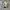 Adidas Sportswear Casual Sneakers Pria white gray photo 3
