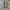 Adidas Sportswear Casual Sneakers Pria white gray photo 4