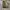 Adidas Sportswear Casual Sneakers Pria white gray photo 6