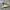 Adidas Sportswear Casual Sneakers Pria white gray photo 2