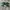 Adidas Casual Sneakers Pria white green photo 1