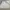 Sportswear Skirt Wanita white photo 5