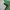 Polo Ralph Lauren Vintage Streetwear Polo shirt Pria green photo 4