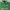 Polo Ralph Lauren Vintage Streetwear Polo shirt Pria green photo 2
