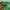 Polo Ralph Lauren Vintage Streetwear Polo shirt Pria green photo 3