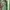 Fairy Evening dress Wanita green photo 1