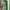 Fairy Evening Dress Wanita Green