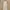 Love Bonito Luxury Casual Casual dress Wanita gold white photo 1