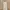 Love Bonito Luxury Casual Casual Dress Wanita Gold White