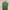 Minimalist Casual Vest Wanita green photo 1