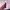 Luxury Minimalist Wanita purple photo 1