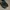 Nike Sportswear Sneakers Pria black photo 2
