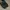 Nike Sportswear Sneakers Pria Black