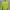Vintage Casual Sweatshirt Wanita green photo 1
