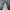 Japanese brand Reworked Legging Pria navy photo 2