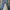 Japanese Brand Reworked Legging Pria Navy
