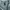 Nike ACG Gorpcore Leather jacket Pria silver photo 6
