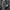 Item(s): Rare! ST Dupont Leather Jacket photo 4