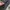 Nike ACG Gorpcore Sportswear Pria gray photo 6
