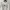 Mizuno Casual Sweatshirt Pria White