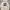 Dickies Casual Jumper Pria white photo 1