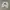 Dickies Indie Sweatshirt Pria white photo 1