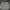 Dickies Casual Jumper Pria gray photo 1
