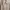 Vintage Skater Track jacket Pria white cream photo 3
