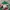 Vintage Streetwear Hat Pria white red photo 2