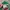 Vintage Streetwear Hat Pria White Red