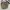 Gucci Luxury Crossbody Bag Wanita tan photo 2