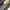 Gucci Luxury Crossbody Bag Wanita tan photo 3