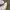 Nike Streetwear Sneakers Pria white photo 4
