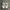 Nike Streetwear Sneakers Pria white photo 1