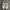 Nike Streetwear Sneakers Pria White