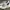 Nike Streetwear Sneakers Pria white photo 2