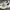Nike Streetwear Sneakers Pria White