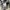 GU Luxury Minimalist Hoody Pria gray photo 4