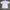 Polo Ralph Lauren Casual Casual shirt Pria white photo 1
