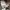 Nike Air Jordan Minimalist Futurist Pria gold white photo 1