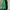 Indie Casual Cardigan Wanita green photo 2