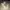 Puma Streetwear Y2K Sneakers Pria tan cream photo 1