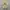 Casual Hoody Pria cream photo 1
