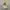 Casual Hoody Pria cream photo 5