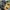 Crumpler Vintage Streetwear Bag Pria green photo 5