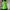 Streetwear Sportswear Bodysuit Wanita Green